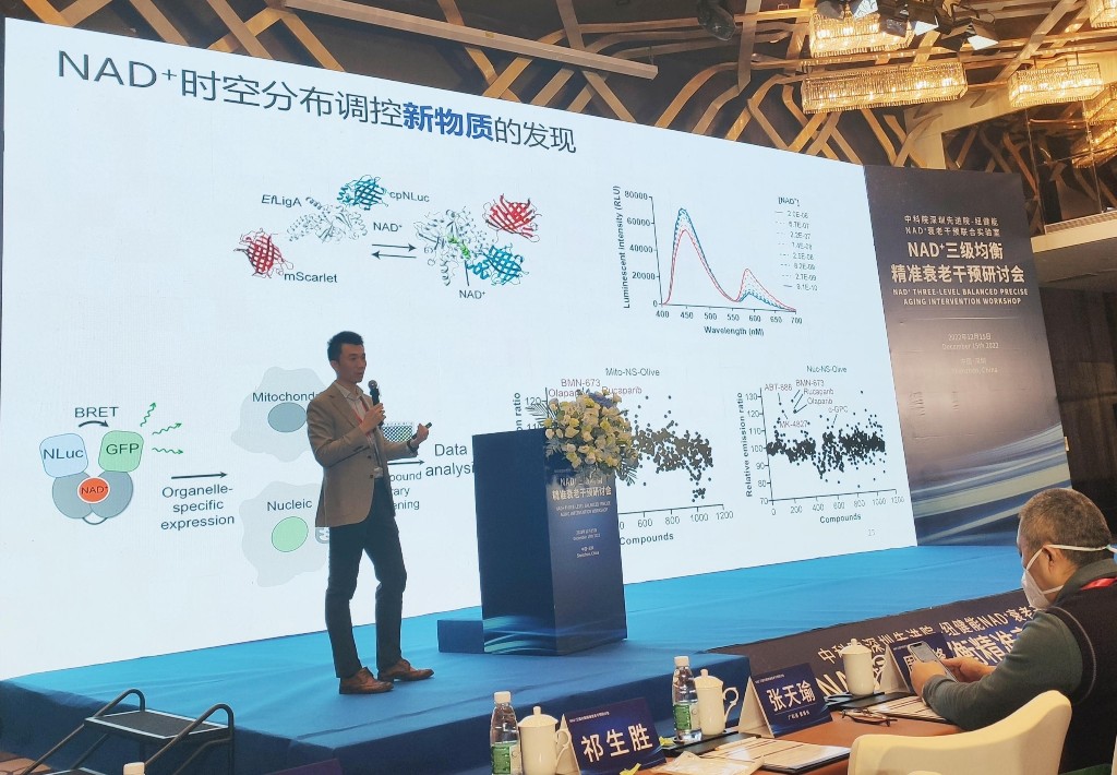 博鱼平台NAD+干预为心脑血管疾病治疗提供新思路(图2)