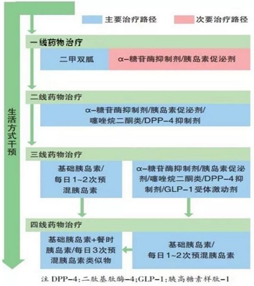 【周三学习】李平静医师：糖尿病的医学营养治疗侯莉莉医师：再喂养综合征与危重疾病博鱼boyu官网(图1)